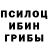 Галлюциногенные грибы прущие грибы Ephir