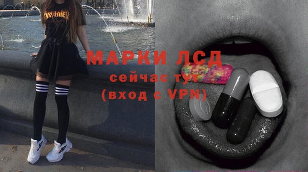 сатива Нефтегорск