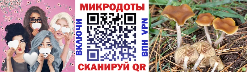 даркнет сайт  Усолье  Псилоцибиновые грибы Psilocybine cubensis 
